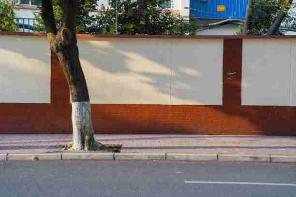 被誉为情欲片巅峰之作的《情欲九歌》尺度炸裂却拍得极美的艺术电影