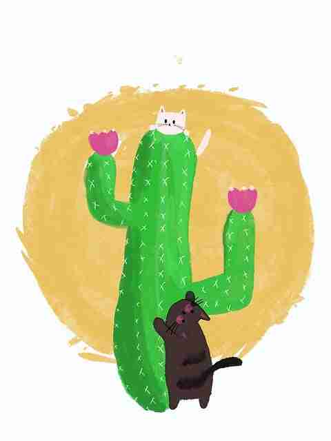 稀缺无删减版【人间中毒】李知恩×姜栋元柔情电流独家加长4K高清抢鲜