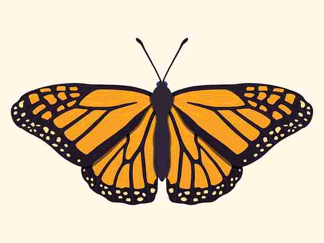 影院级HDR【荡漾私语】霍建华×赵丽颖致命贴靠超清无广告免费视频