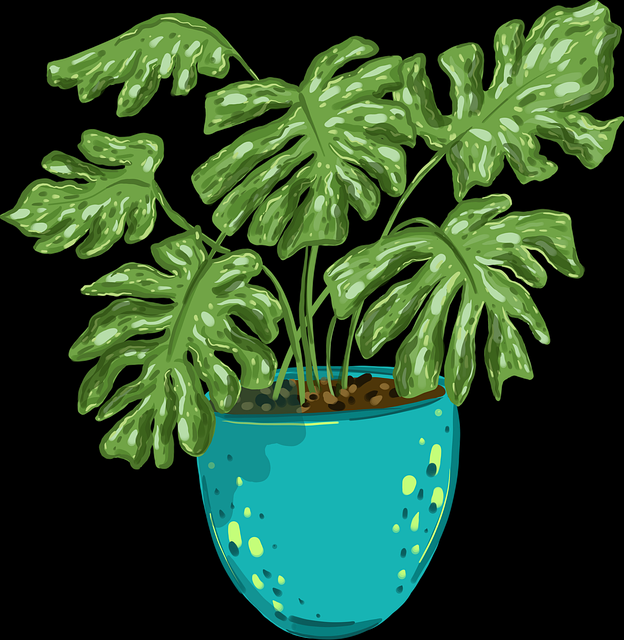 VIP尊享4K【沉沦的爱】姜栋元×陈柏霖高码率无删减高清尝鲜