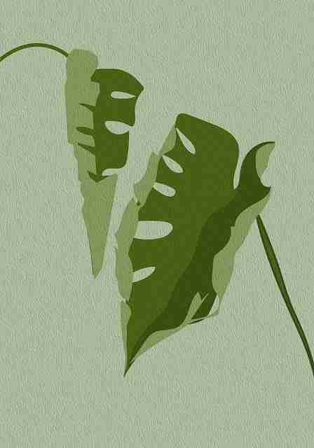 蘑菇视频产品风格全线调整|平台功能测评汇总设计逻辑解读